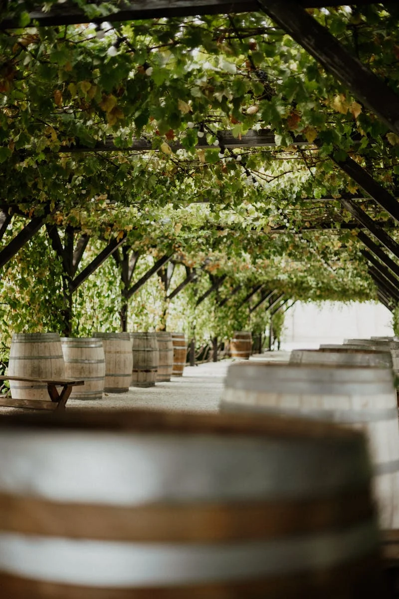 Vineyard function supported by the Loo La La Luxury Portable Toilet hire